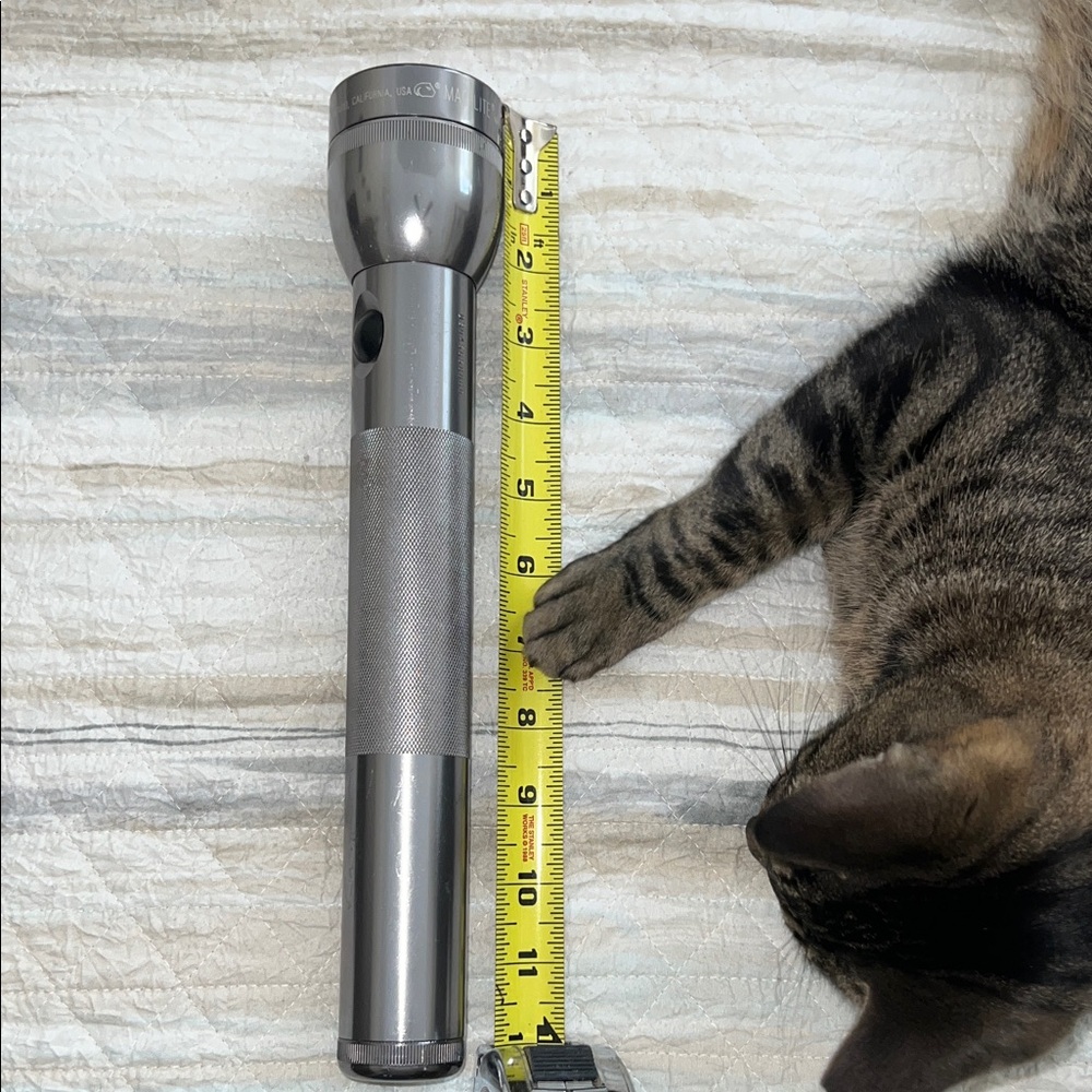Maglite Silver Flashlight - Picture 7 of 7